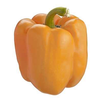 PEPPERS ORANGE GH XL CA 5KG