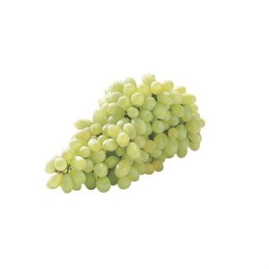 GRAPE GREEN SEEDLESS 1VW