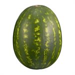 WATERMELON BIN RED SEEDLESS US 60