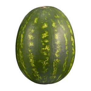 WATERMELON BIN RED SEEDLESS US 60