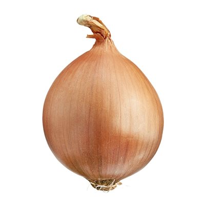 ONION SPANISH CA 50LB