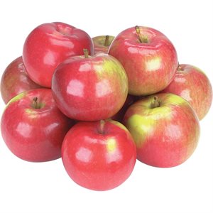 APPLE MCINTOSH 80 / 88 CA 17KG