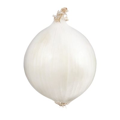 ONION WHITE US 25LB