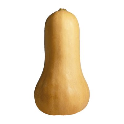 SQUASH BUTTERNUT CA 16KG