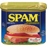 SPAM MEAT LUNCHEON 340.000G
