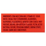 YOPLAIT CREAMY STR / BL / RASP / FB 100.000G