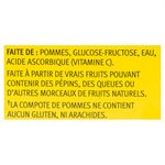 MOTTS FRUITSATIONS ORIG APPLE 104.000ML