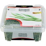 DION TARRAGON 14.000G
