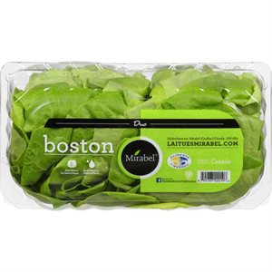 GEN V BOSTON LETTUCE DUO 2.000EA